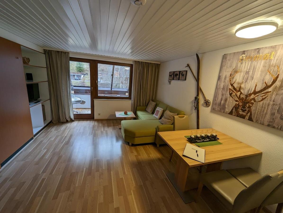 C3 Albmatte-Fewo Sauna, Hallenbad Aussenbecken Massagen Nebenan St. Blasien Exterior foto
