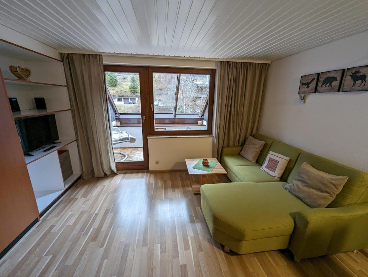 C3 Albmatte-Fewo Sauna, Hallenbad Aussenbecken Massagen Nebenan St. Blasien Exterior foto