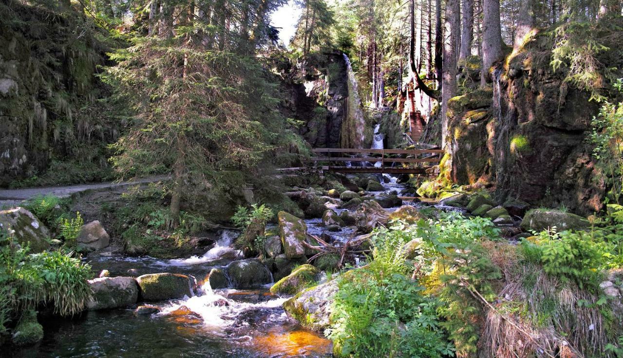 C3 Albmatte-Fewo Sauna, Hallenbad Aussenbecken Massagen Nebenan St. Blasien Exterior foto