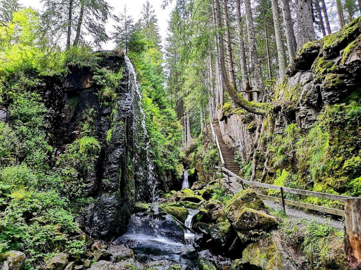 C3 Albmatte-Fewo Sauna, Hallenbad Aussenbecken Massagen Nebenan St. Blasien Exterior foto