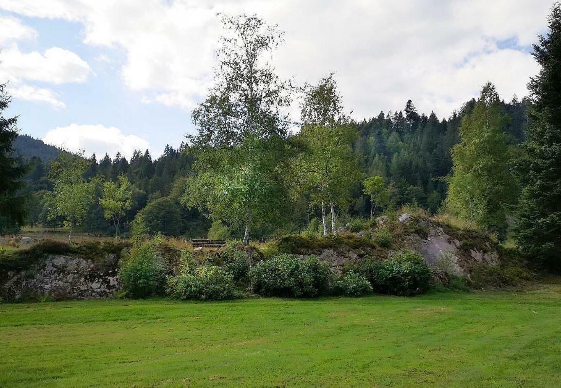 C3 Albmatte-Fewo Sauna, Hallenbad Aussenbecken Massagen Nebenan St. Blasien Exterior foto