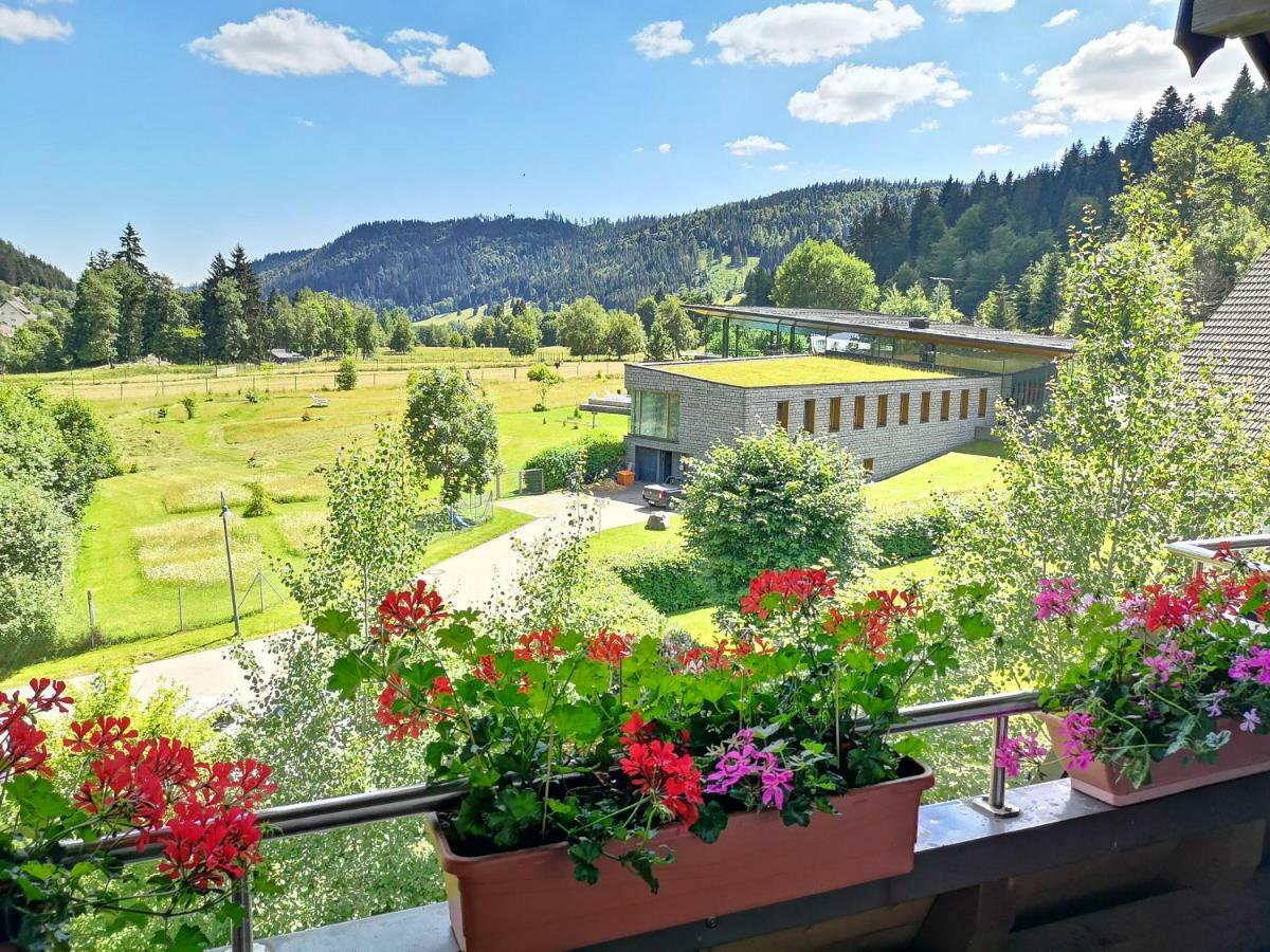C3 Albmatte-Fewo Sauna, Hallenbad Aussenbecken Massagen Nebenan St. Blasien Exterior foto